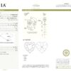 GIA Certificate