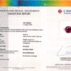 18.37 Carat Cushion Red Spinel with Trapezoid Diamonds Ring Lab Report